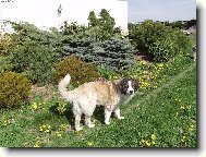 Barunka ve svém domově