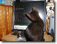 co je tam zajímavého?