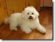 kdy zas budem lumpačit?