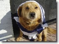 Můj nový model od mé pani,které je 12