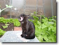 uuuuáááááááááááá