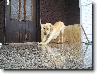 Ranní protahování