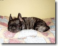 Když spím,tak nerušit!!!