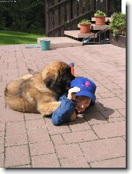 Artuš Quin. Galaxy Oss