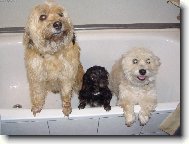 Tři dámy ve vaně!!!