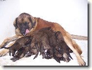 špunti dávají mamině zabrat