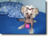 Pane, pojďte si hrát