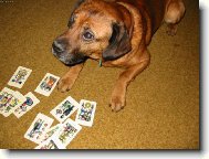 Já ti vyložím tvůj osud