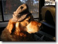 Nesnáším ranní šichty!