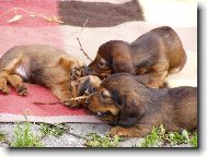 Ty klacíky rozkoušem:-)