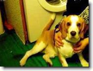 Maxiček se konečně koukl do fotaku