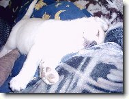 heč v posteli je to lepšíííí......