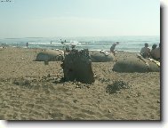 Cesty po Abanii  Květen 2006