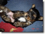 Hlídám si svoje miminka, jsem hodná maminka.