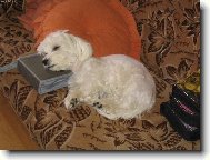 totální vyčerpání ze sledování dvd