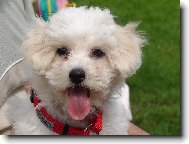 To mám ale krásně růžový jazýček, heč !!!