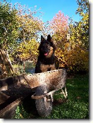 tvrdá práce kámo!