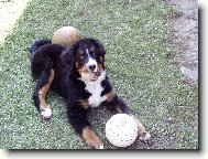 připraven na fotbalové mistrovství