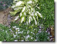 Po bouřce s krupobitím