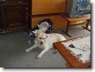 Takhle nám Benik hlídá Barunku