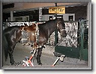 I TAK SE DÁ PARKOVAT.......