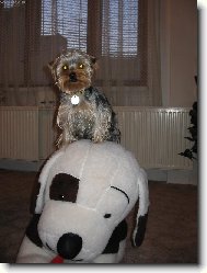 Jerry-návštěva  z   kosmu