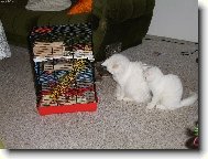 Neboj, jednou ti ho vyndám.