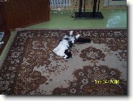 Nechte mě spát... prosím ...