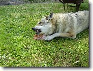 pozor!tohle jsem si ulovila JÁ!