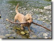 Na velikosti nezáleží...