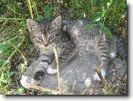 Poprvé na sluníčku