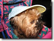 TAKY JE VÁM TAKOVÝ VEDRO ?