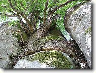 ŽIVOT V MRTVÉM SEVŘENÍ