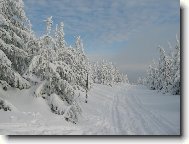 ASPO JEDEN DEN NA B̎KCH, CO KTE ...