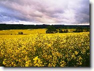 Za větru před bouřkou