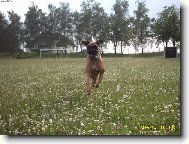 Naše Ajla letí na Acanu.