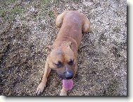 Podrbal jsem se na zádech