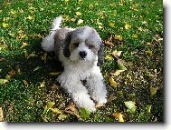 Ne, nejsem plyšový.. :-)