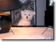 Co je dnes k večeři?