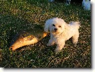 Ja mám 3kg,kapřík 9kg...