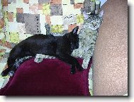 Dosti pohodlné spaní :-D