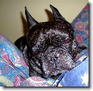 Nechte mě spát :-(