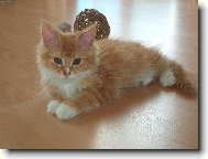 Někde jsem si umazal nos