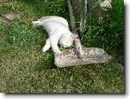 Přestvávka v práci