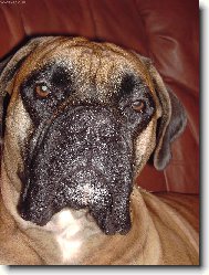 Naše milované Zlatíčko