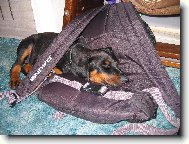 Lepší než pelíšek!:)