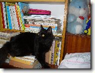 Mikeš - čtenářem