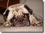 Lenička jde na KUTě :-))