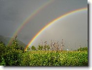 dvojitý déšt v slunečním jase