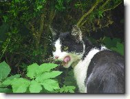 copak bude dobrého ?